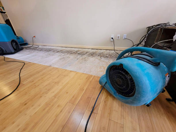 Professional Structural Drying technician working in Littlerock, WA